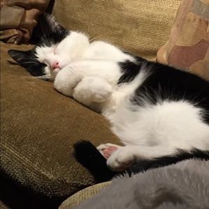 Meet your Posher, Heather